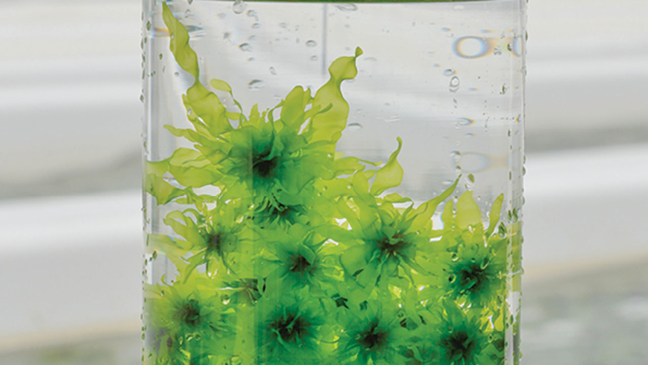 9133 Sustainability Report 2024   Cover 1280