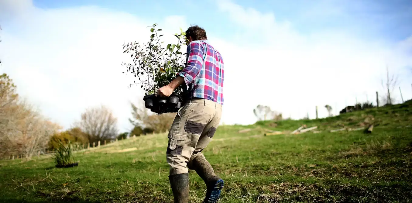 Most NZ dairy farmers put profitability first but some are planting native trees anyway