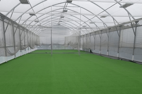 Cricket Nets