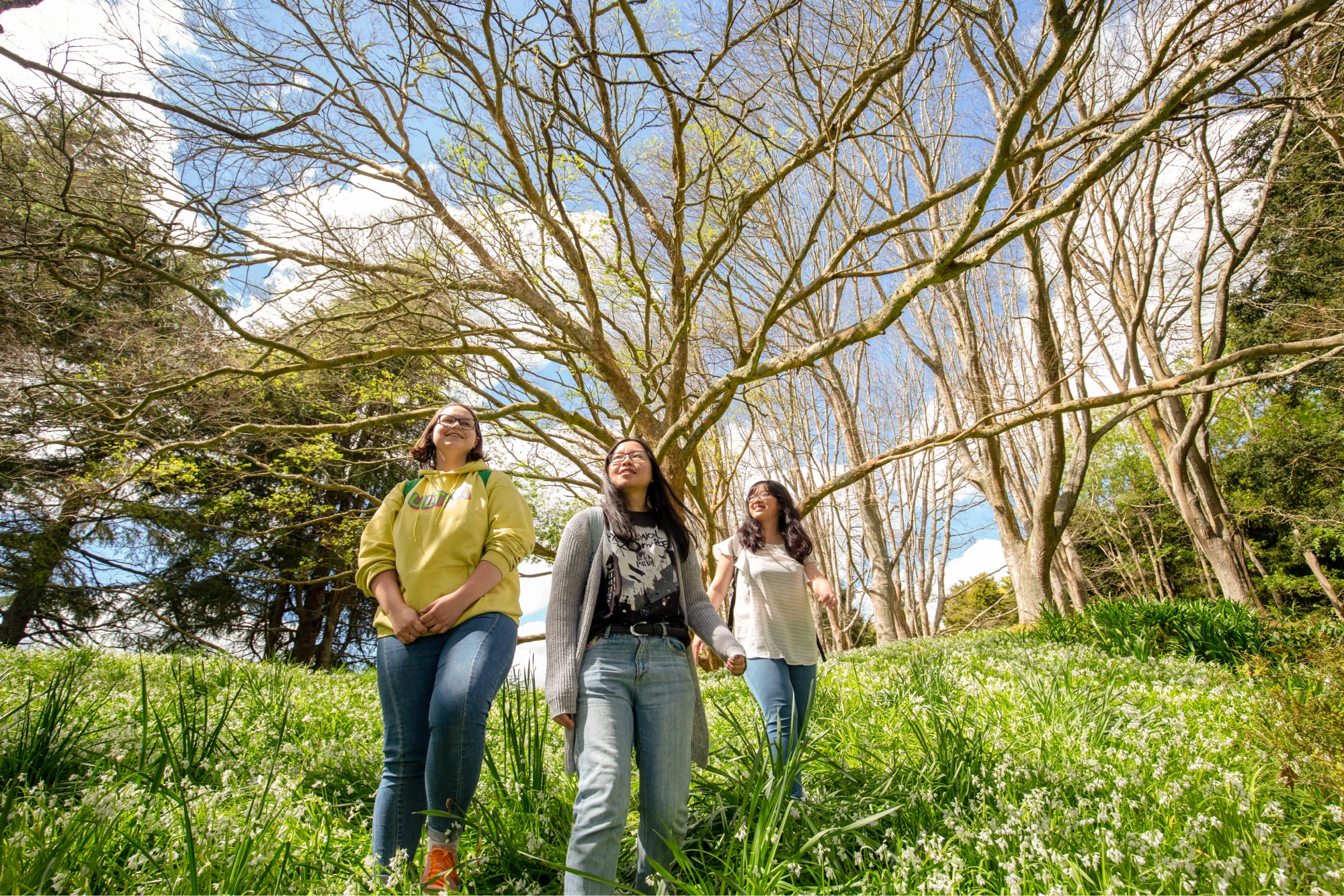 students on campus at the university of waikato 33