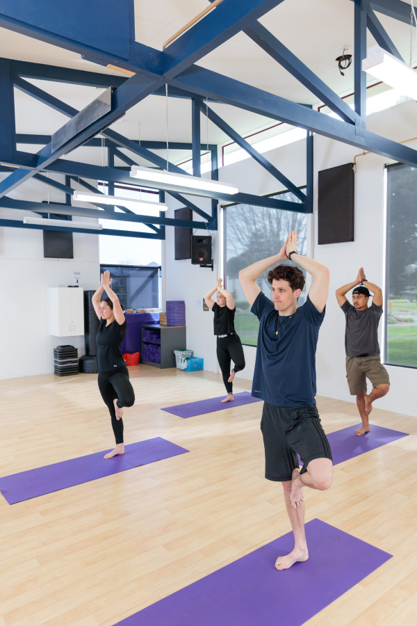 Group of people doing yoga exercises.