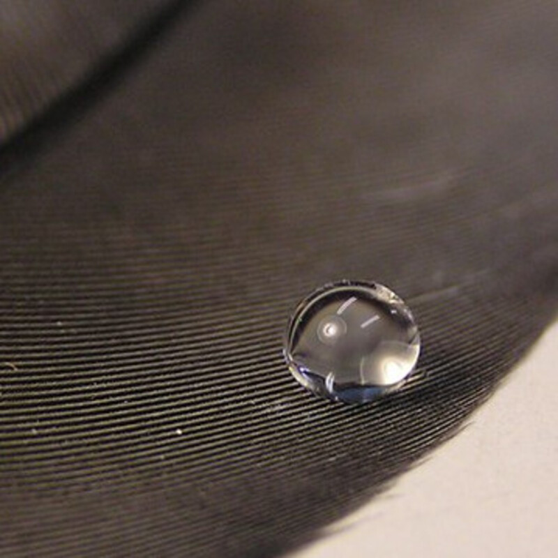 superhydrophobic c s